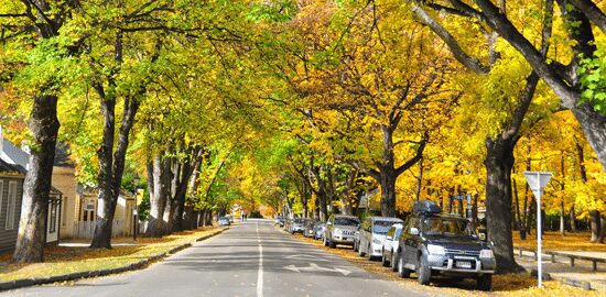 Luxury Touring Across Queenstown and Beyond