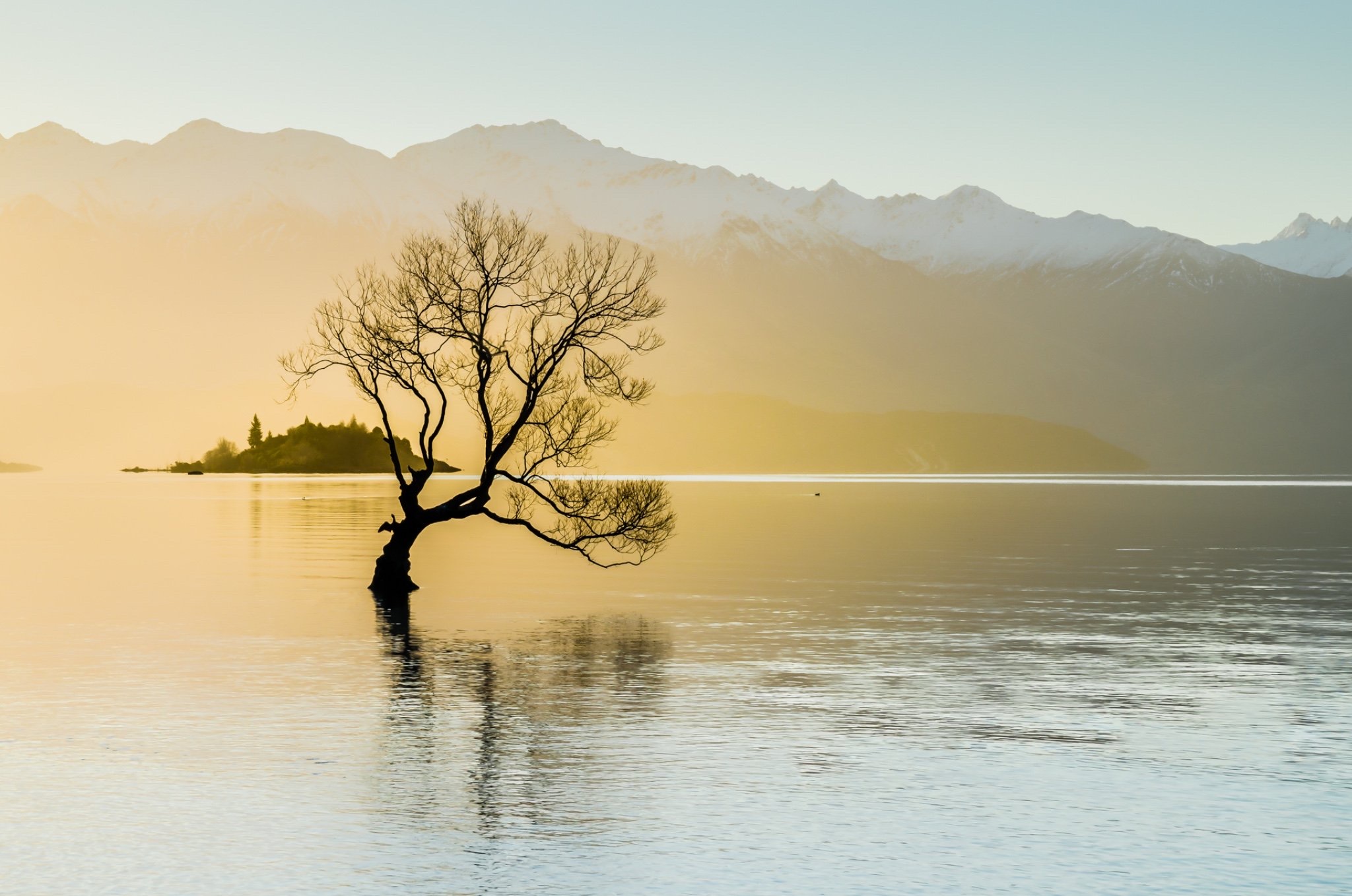 Queenstown Airport Transfers